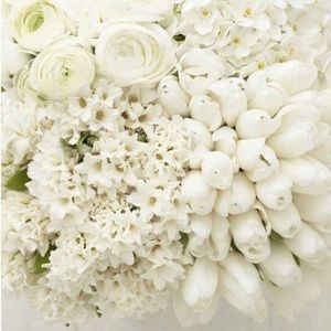 Meet your Posher, Zuhour